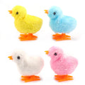 Interactive Chick Cat Toy