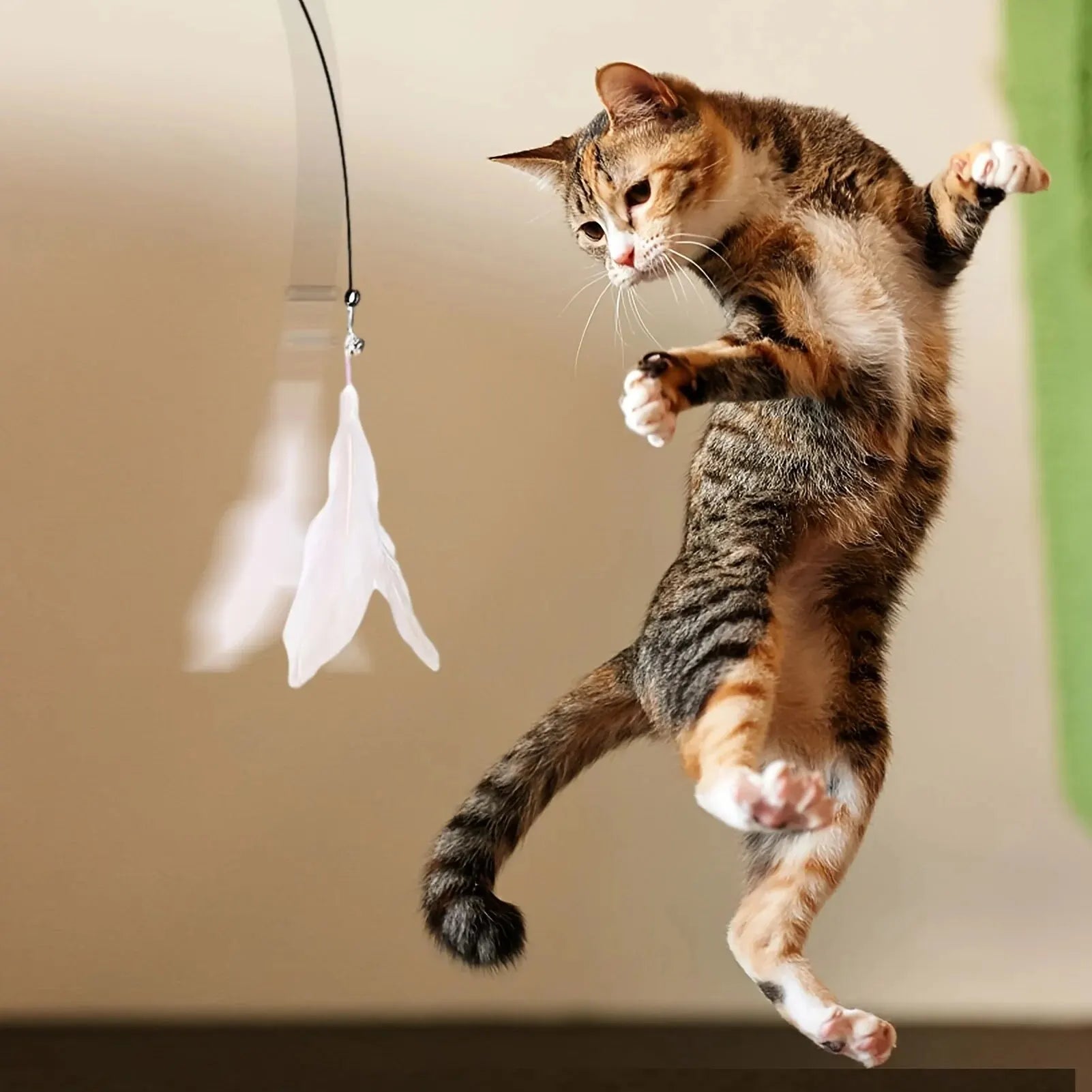 Cat teaser wand