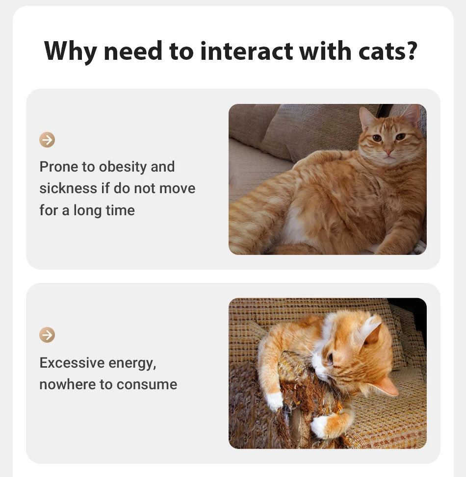 Automatic Cat Laser Toy