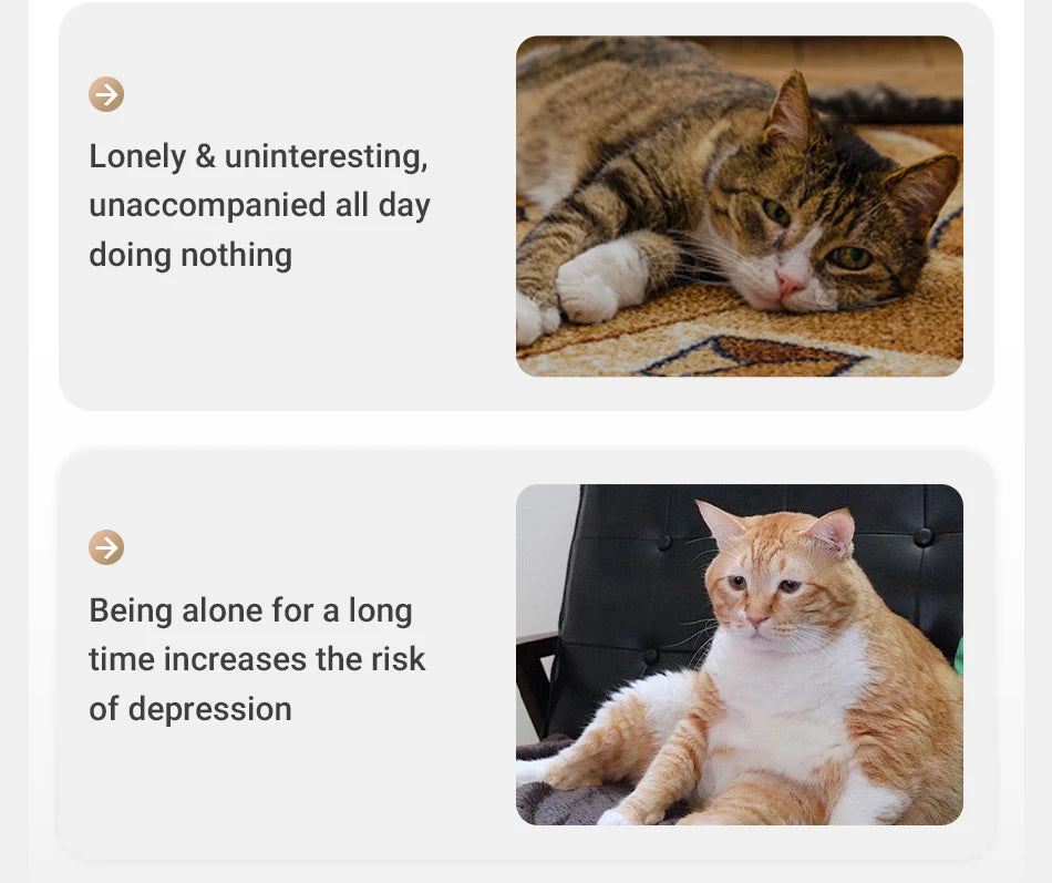 Automatic Cat Laser Toy