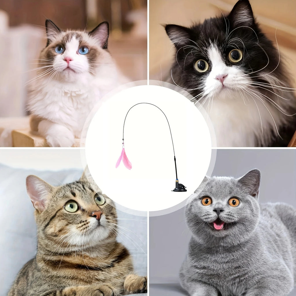 Cat teaser wand