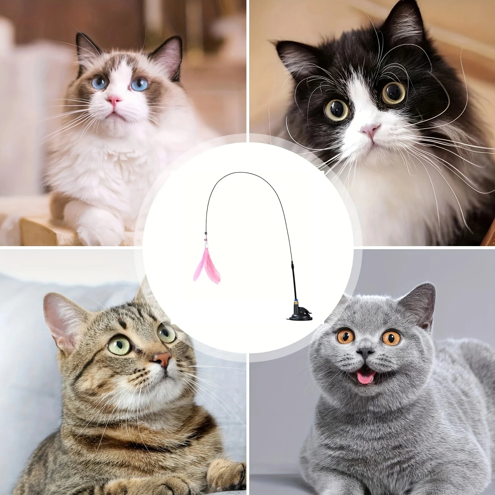 Cat teaser wand
