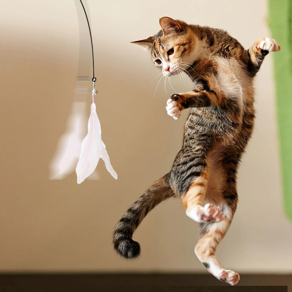 Cat teaser wand